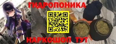 ГАЛЛЮЦИНОГЕННЫЕ ГРИБЫ Партизанск