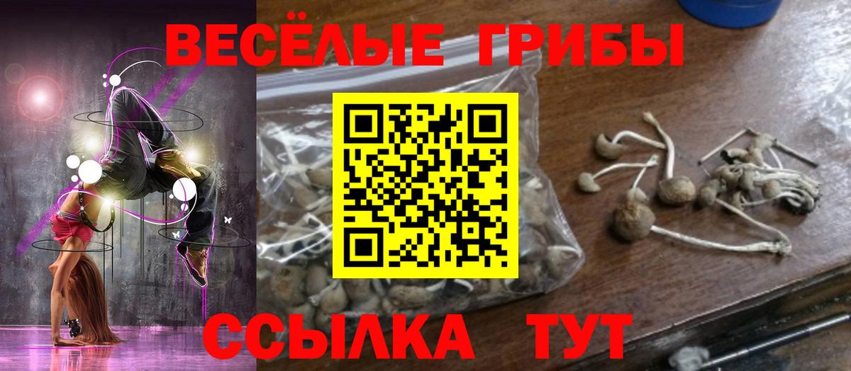 Стрежевой  Галлюциногенные грибы прущие грибы  Вход с VPN 