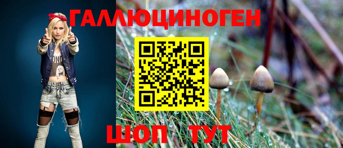 Псилоцибиновые грибы GOLDEN TEACHER Стрежевой